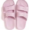 Online Freedom Moses Lilac Slides