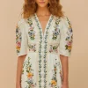 Best Farm Rio Sweet Bloom Dreamscape Mini Dress