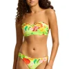 New Seafolly Tropique Bustier Bandeau Bikini AloeGel